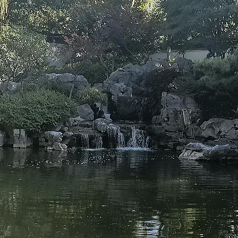 未来可期