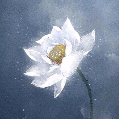 sunrain