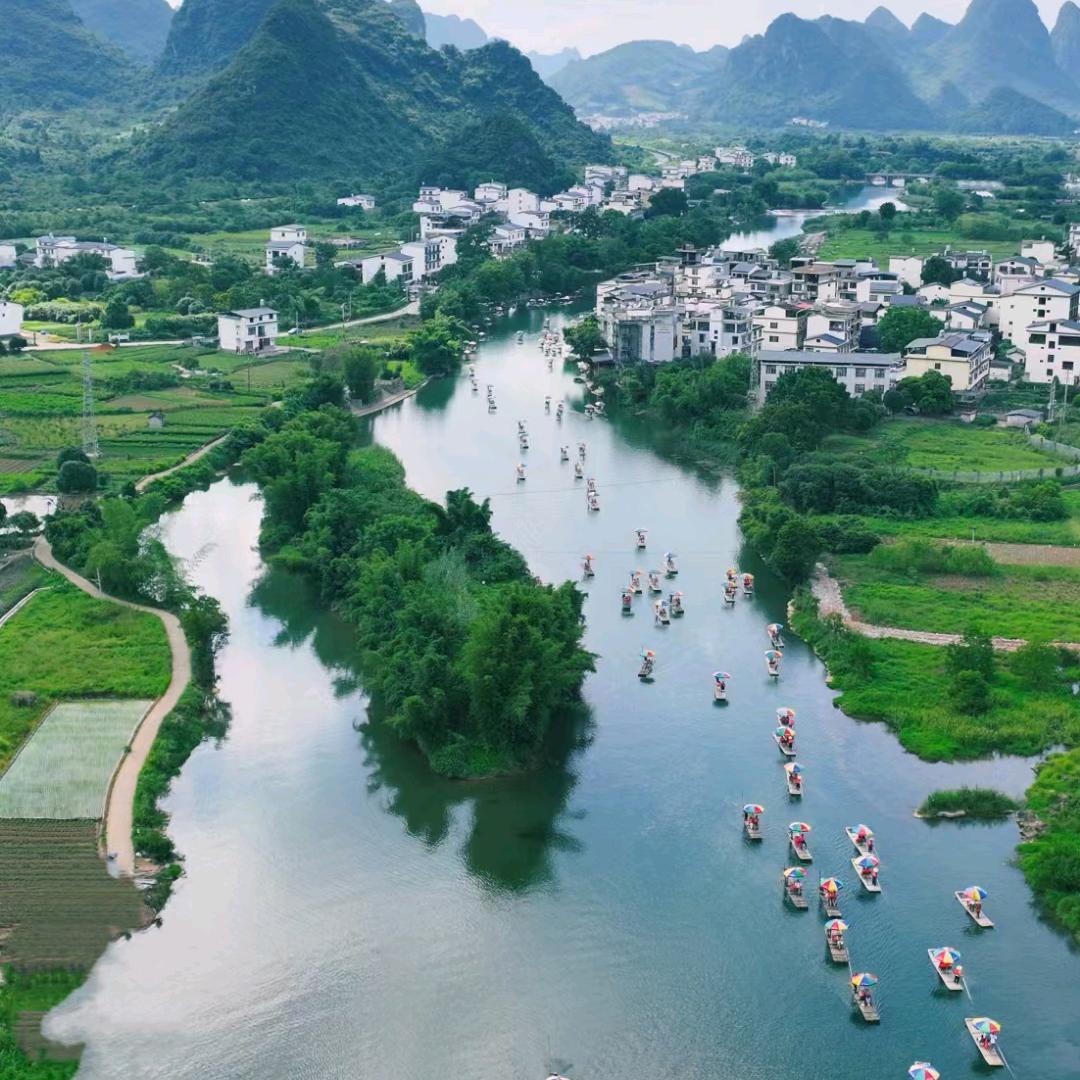 桂香英韵