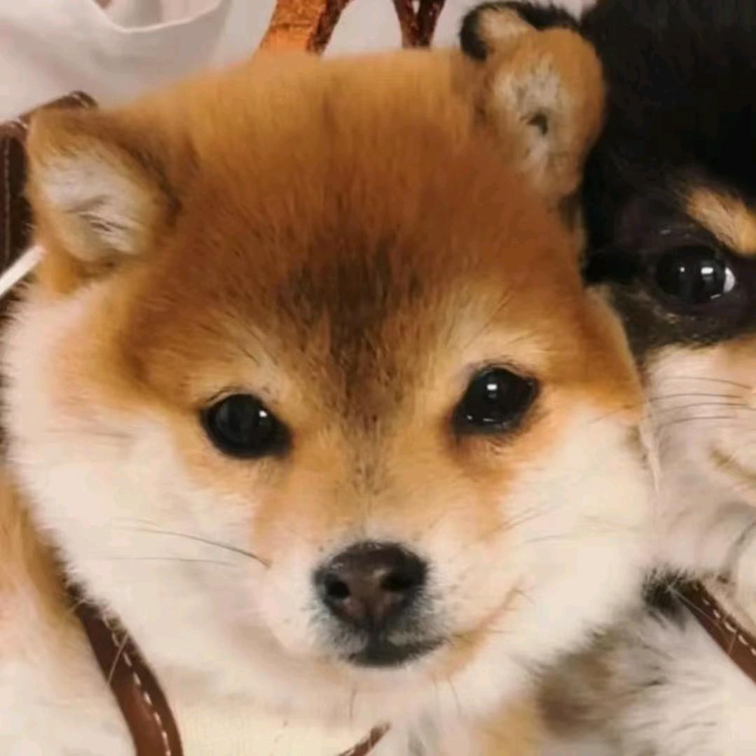 许愿