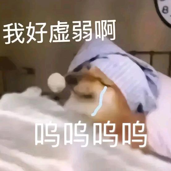 国宴厨师长