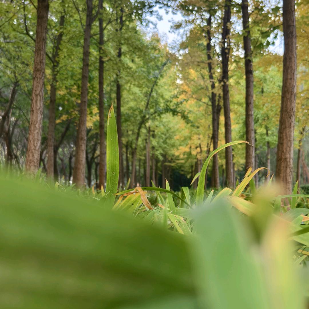 乐在其中刚好有你