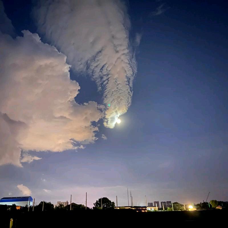 半生浮云荒漠沙