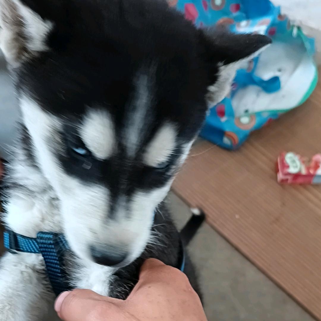 时光不改旧人❤️