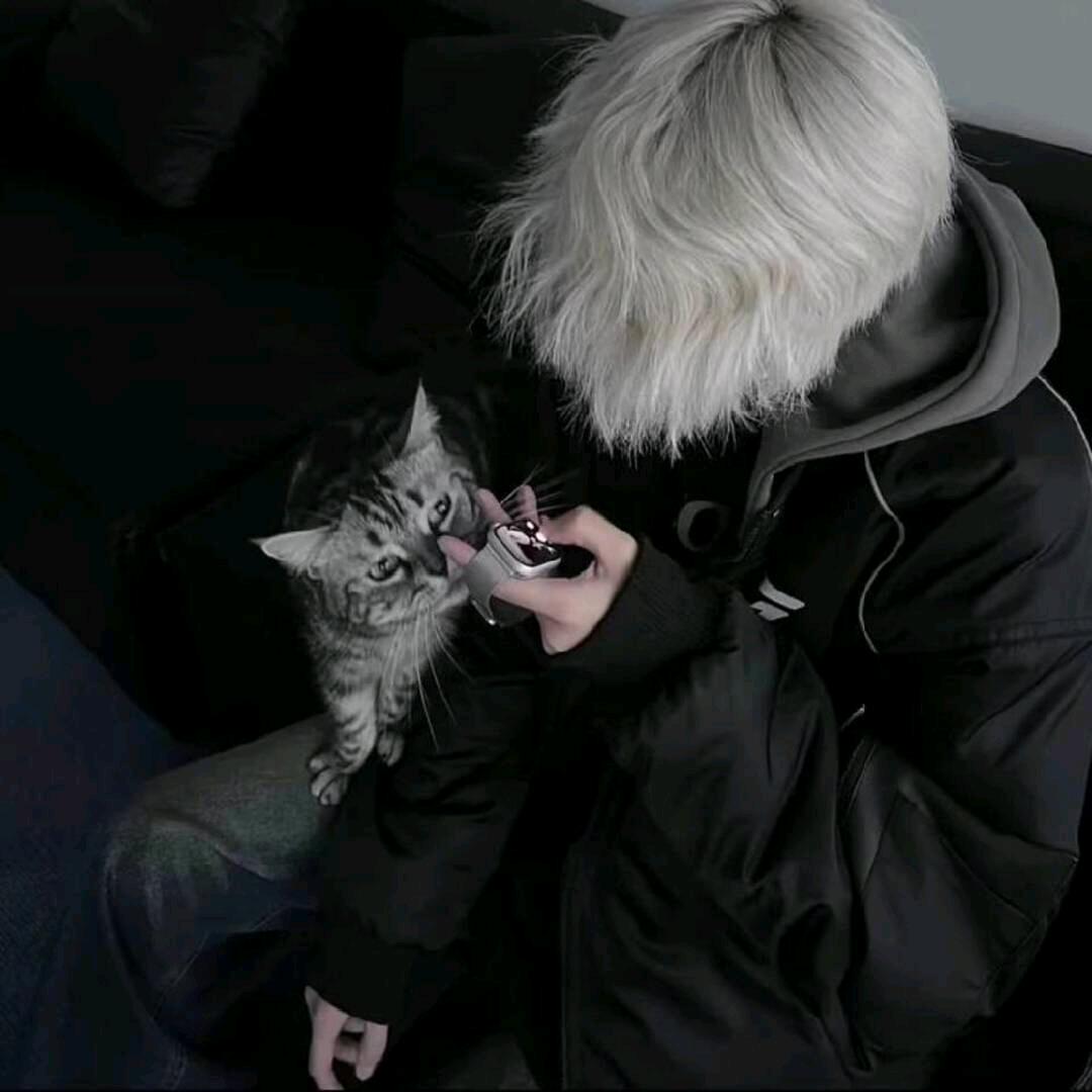 天天͏(金铲铲之战)