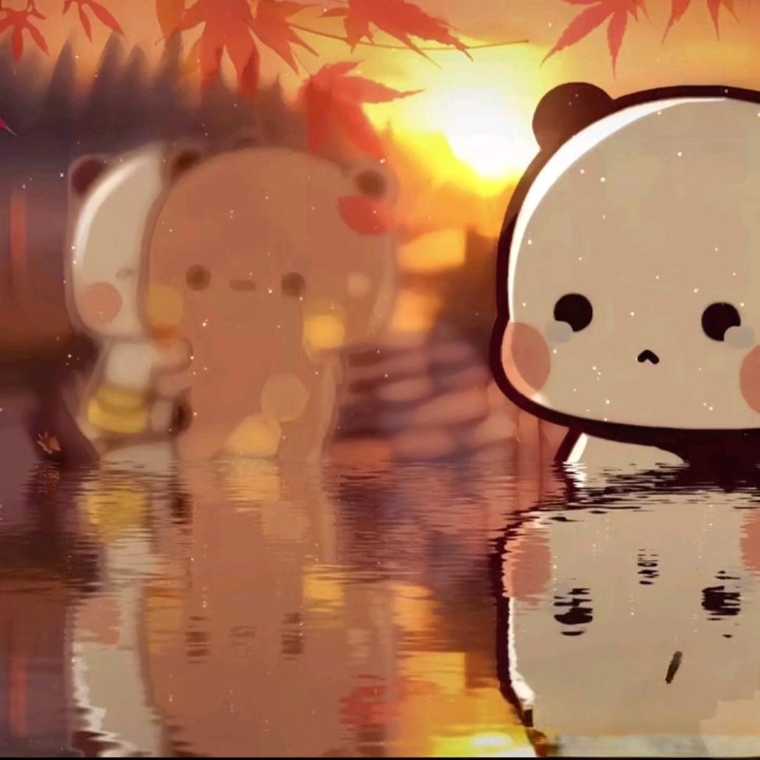 🌸星辰黎明前🌸