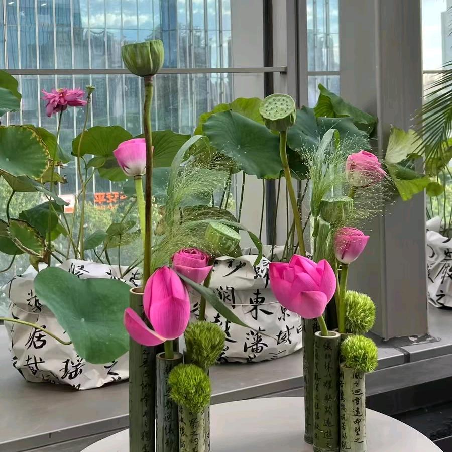 冰汐老师小助理