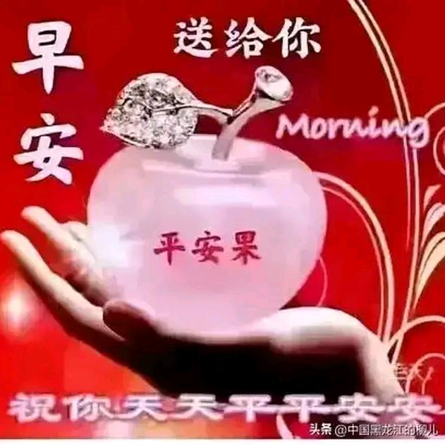 红梅