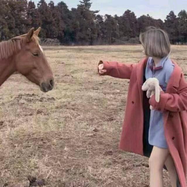 Ninniy