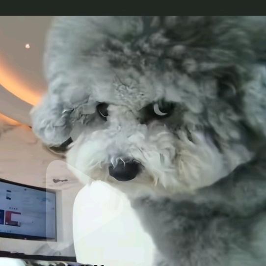 我是你的小可爱