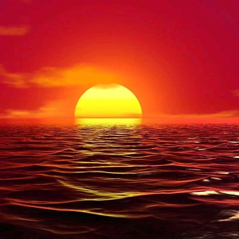 🌺梦怡💝优雅🌺