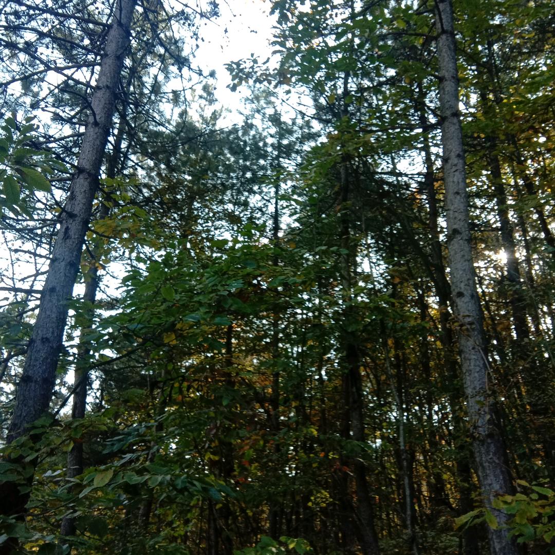 万般皆有命，半点不由人！