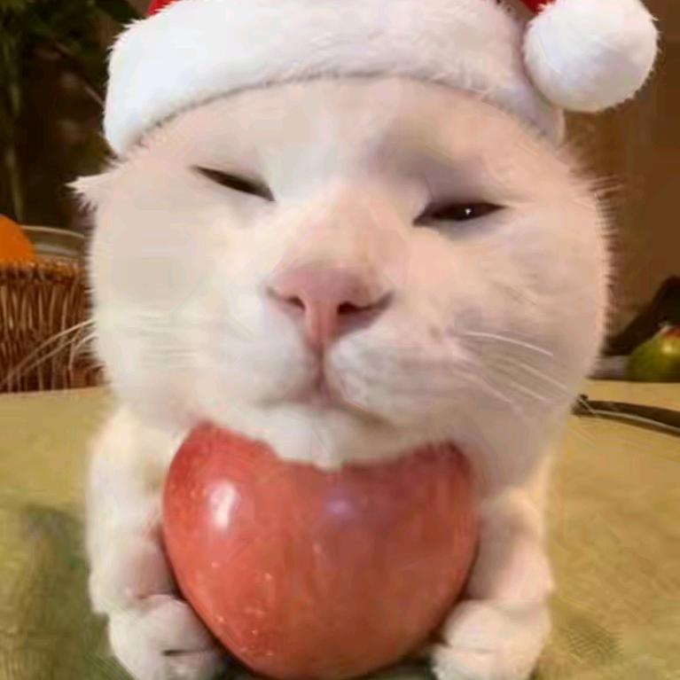 睡醒的时候不困