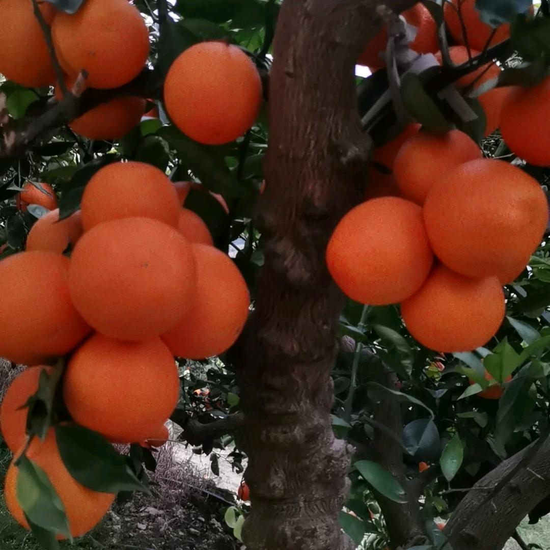 挑战极限