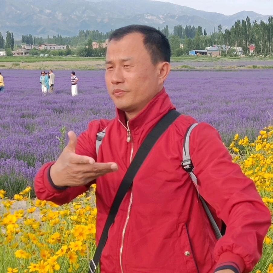 卧虎老师