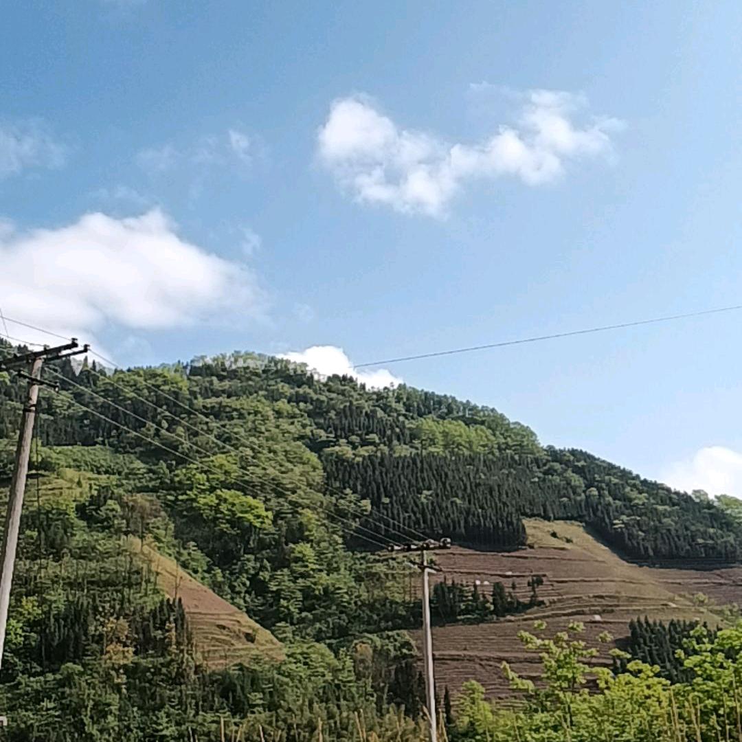 王家幺妹(橱窗有好物)