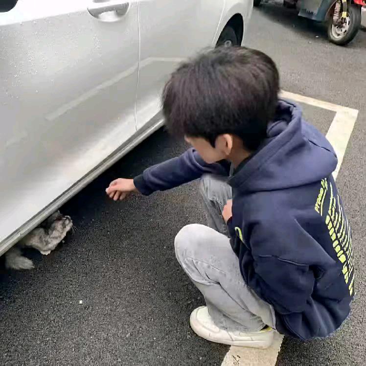那就随便你^
