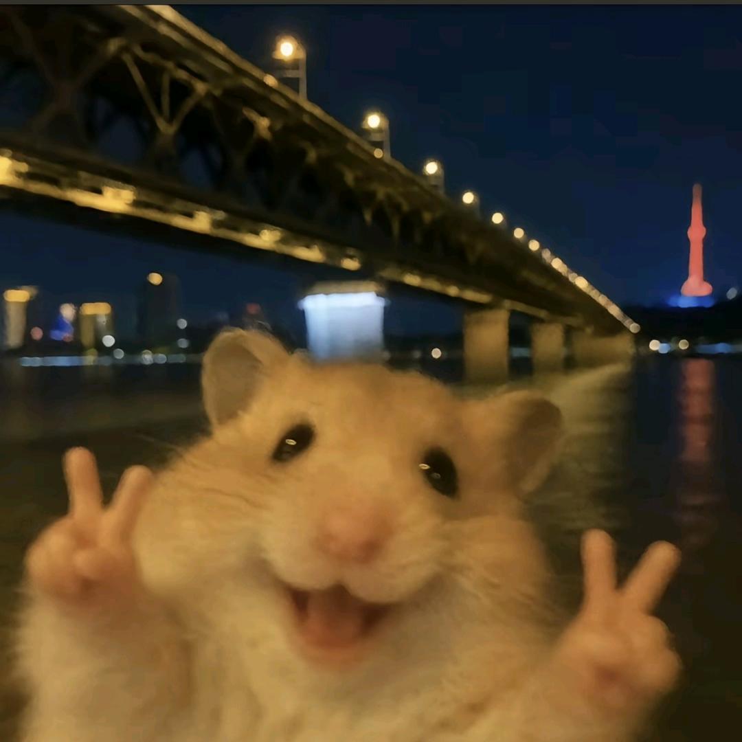 出来咯～