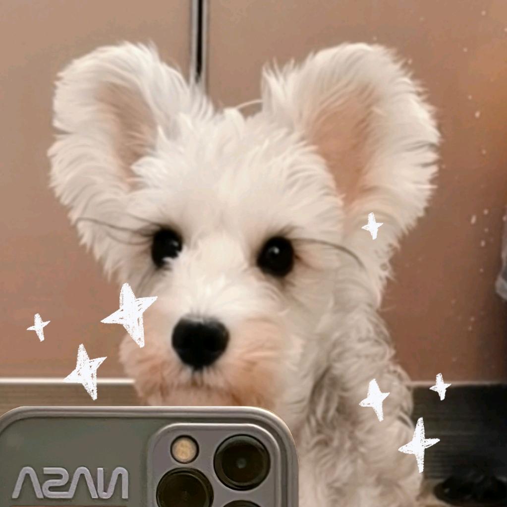 🌈你在沈园外。