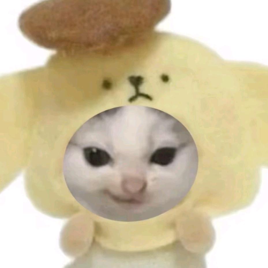 A阿Y一