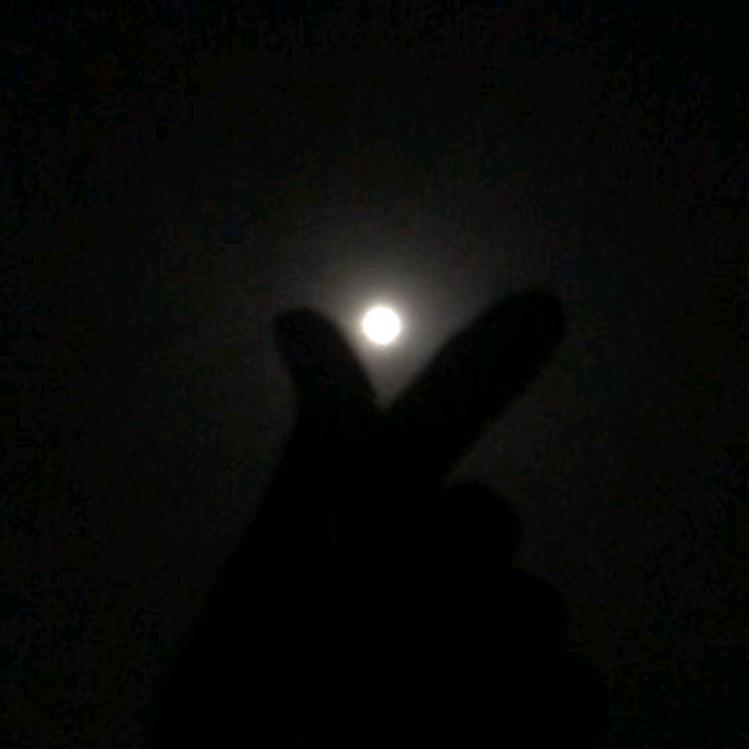 一缕青丝