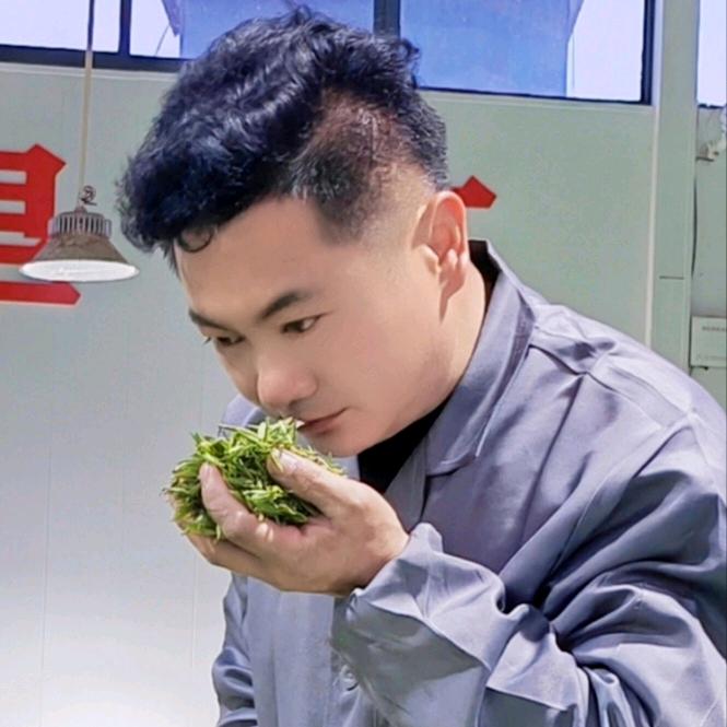 茶哥（信阳毛尖）