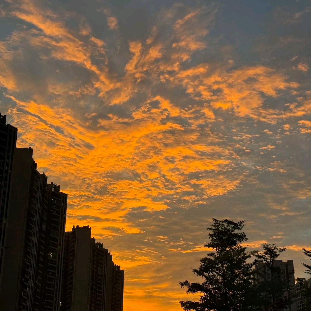 罗非鱼