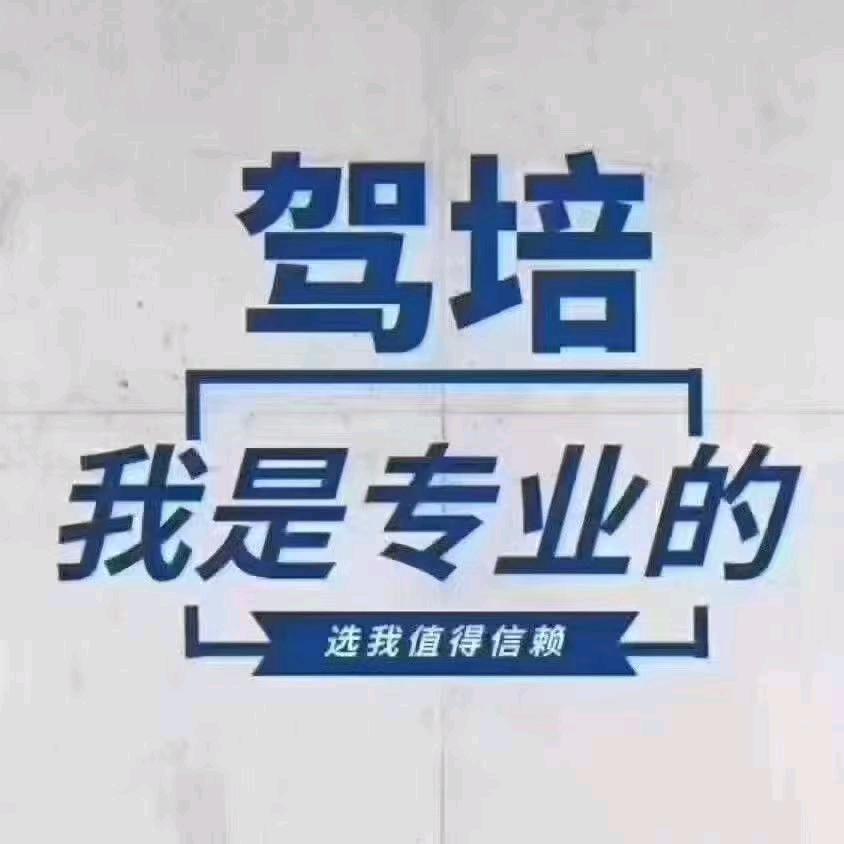 龙先生L