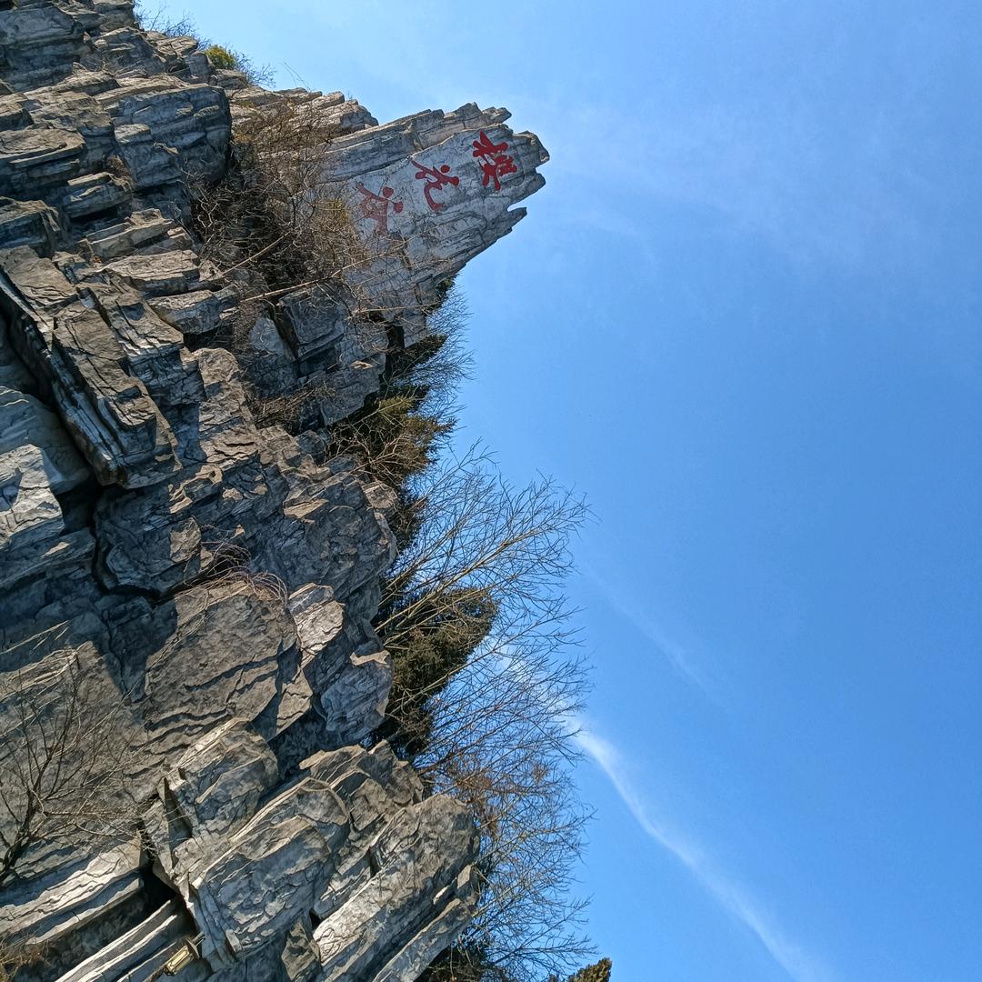 海   君