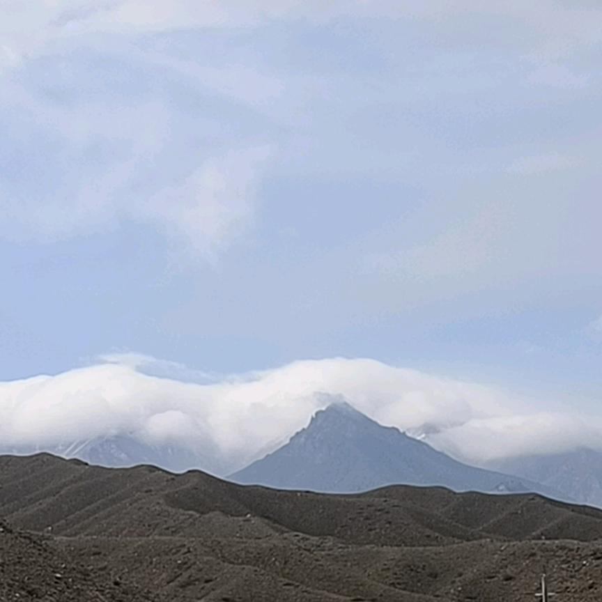 🐴马到成功🐴