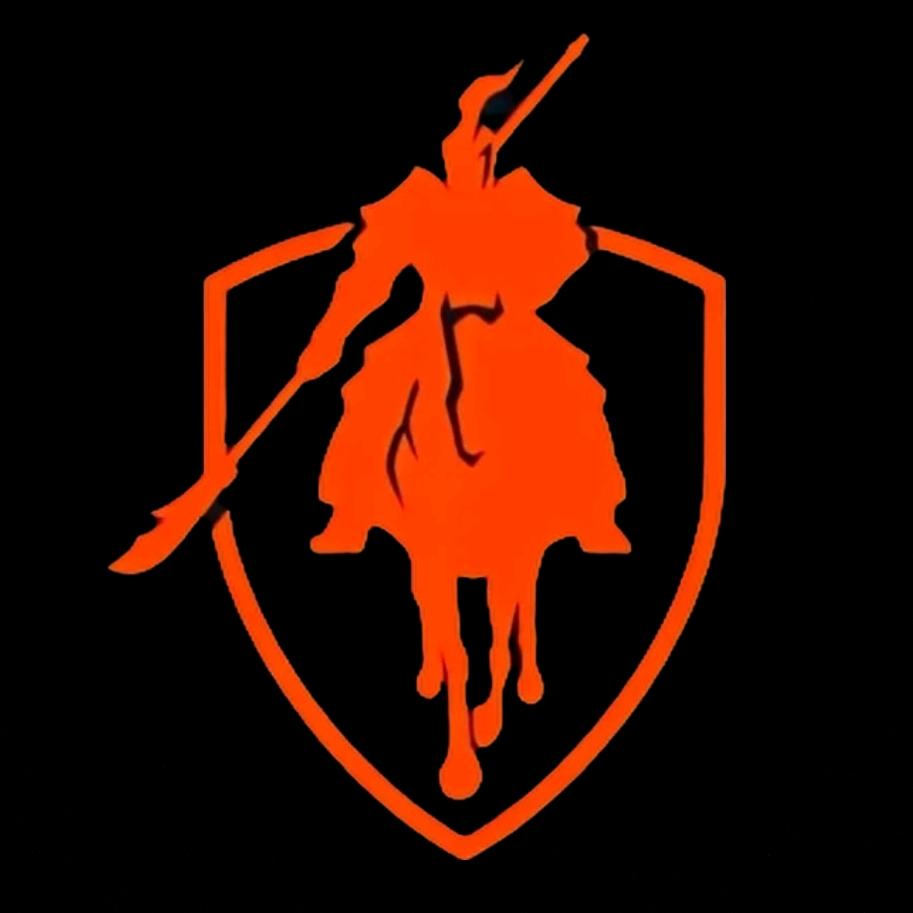 滨城区赛鸽黑武士店