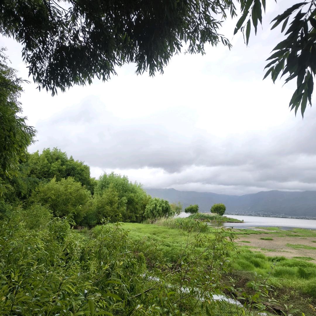 兜兜半颗糖꧔ꦿ᭄💞