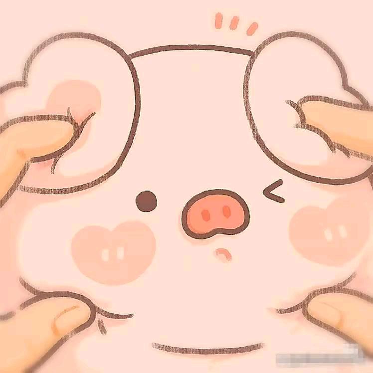 懒猪爱睡觉🐷