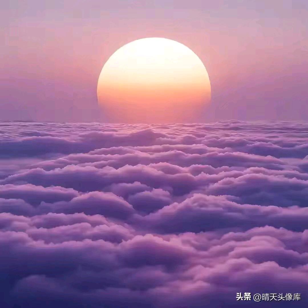 张家二丫