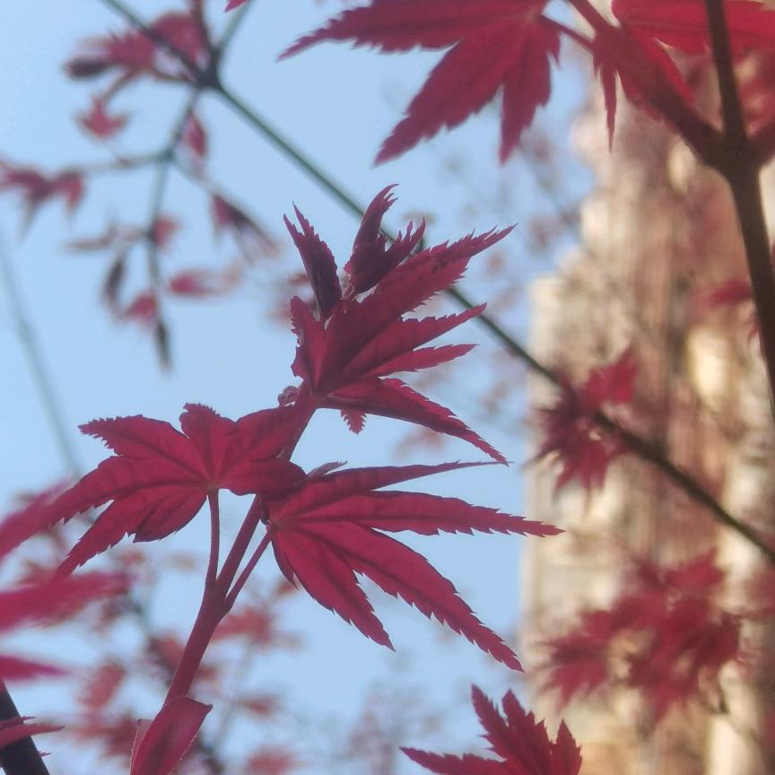 拥抱岁月