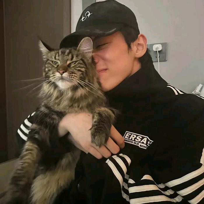 🌈百言猫