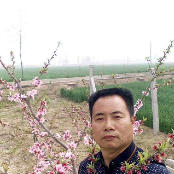 汇东洋
