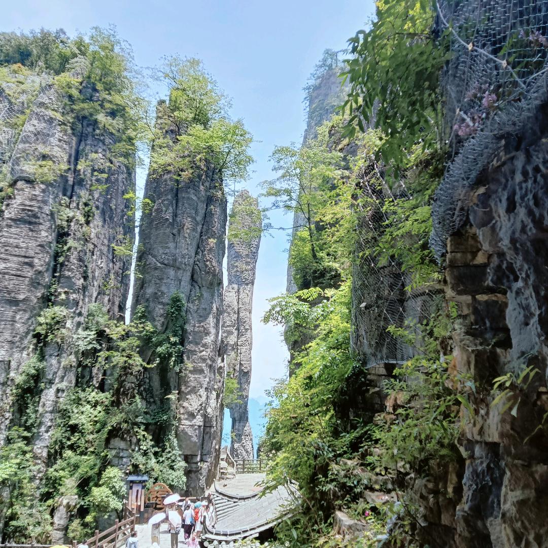 王老五