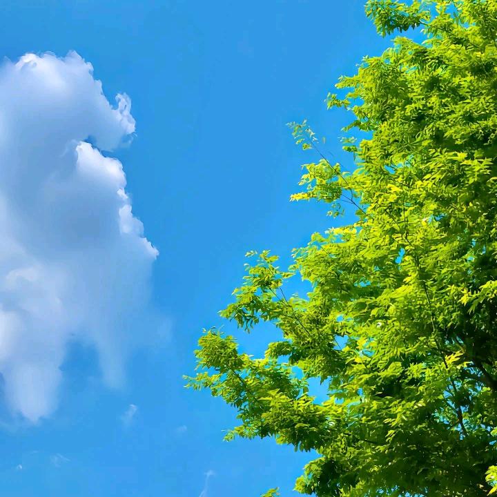 察尔森牧康兽药～吴兽医