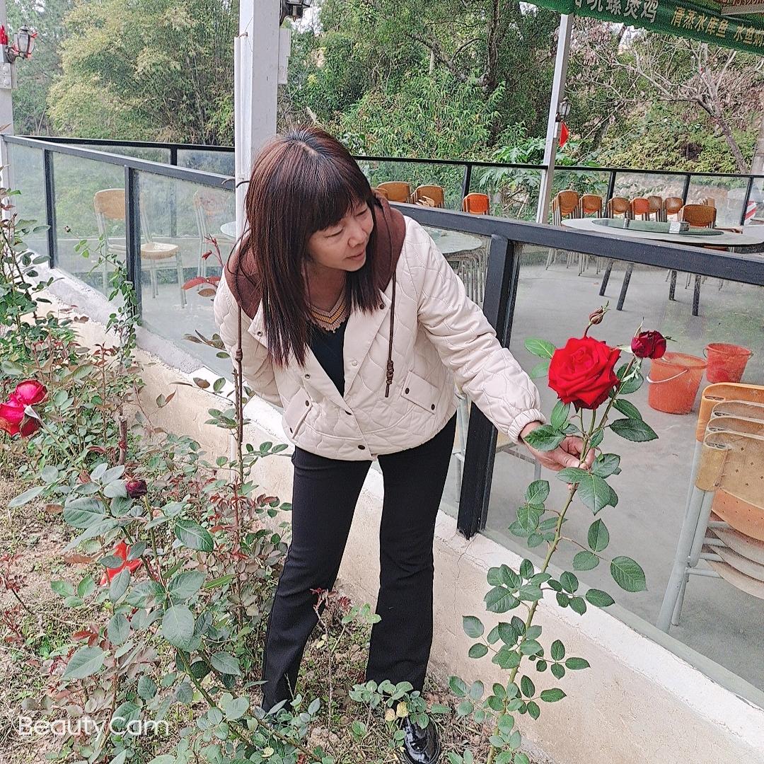 顺其自然@梅