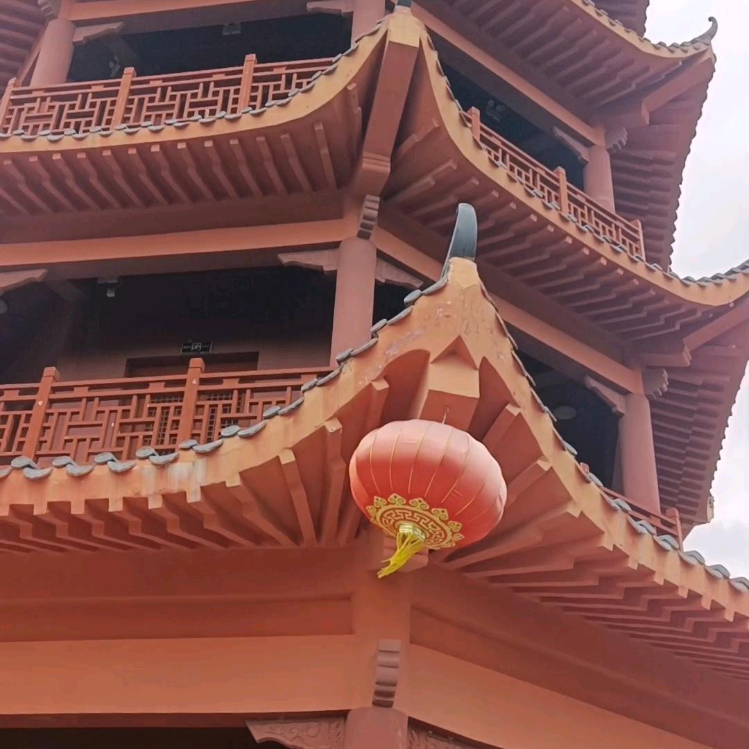 余二姐在漂泊。
