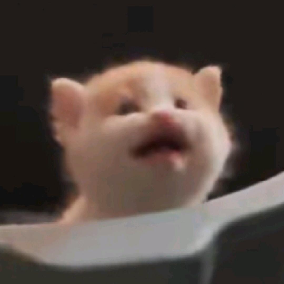 八啦八八八