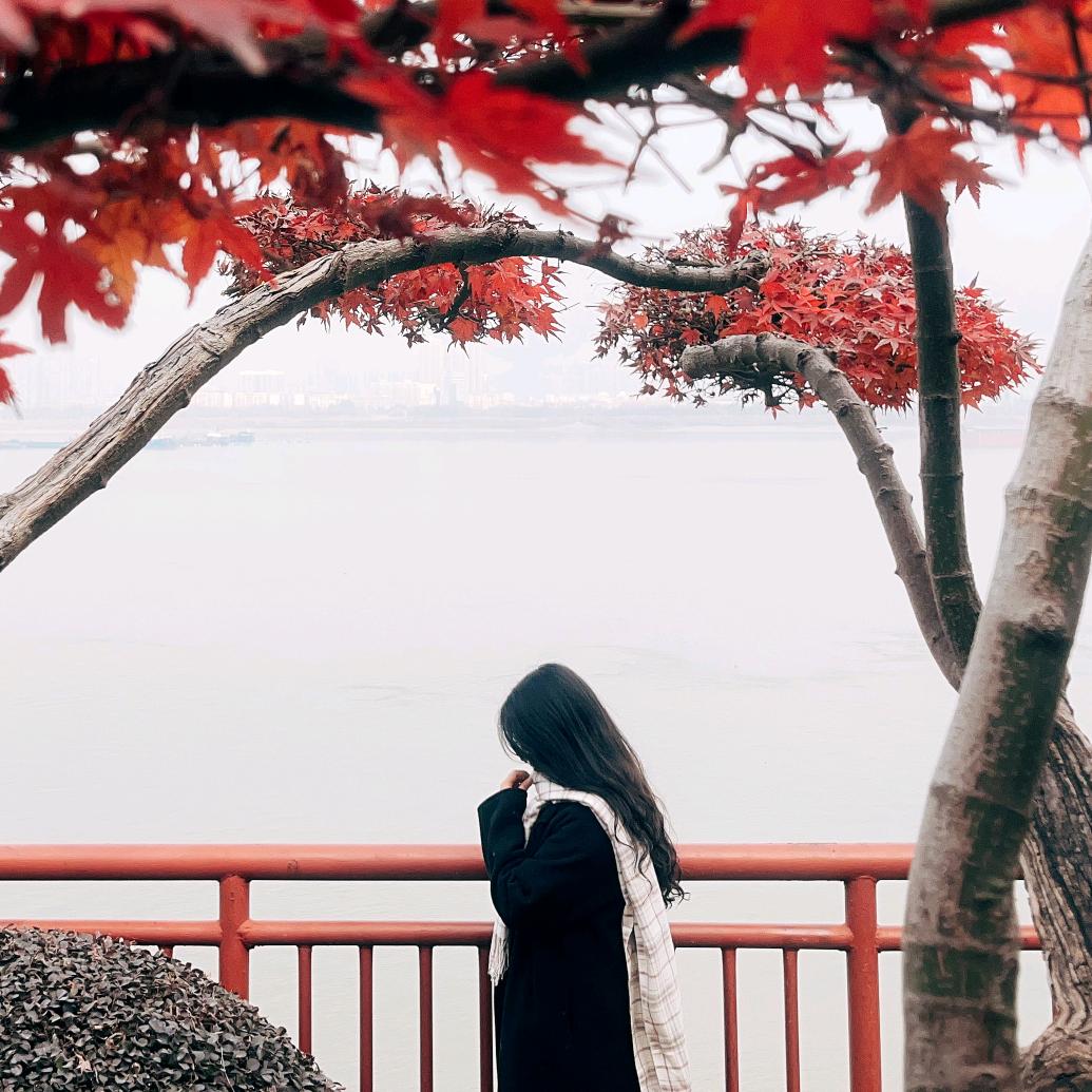 小田吖-🥥