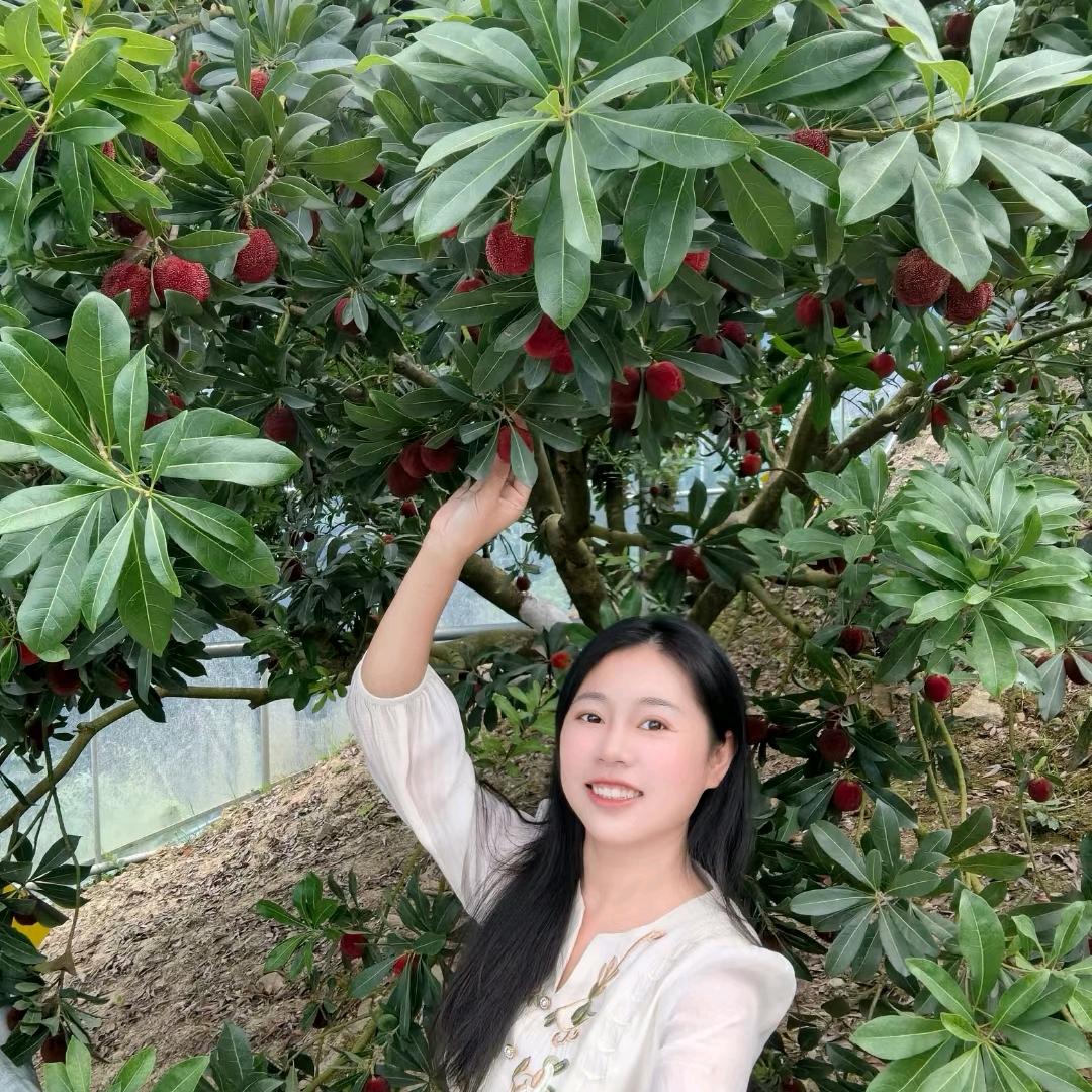 果之芳