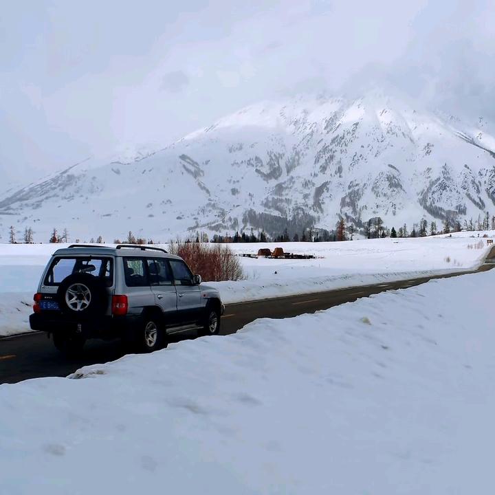 如意☘️🤝🌹🍎❣️