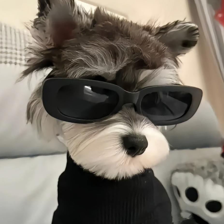 在远方