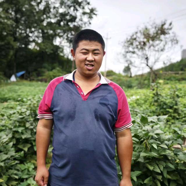 倪红宇渴望光明