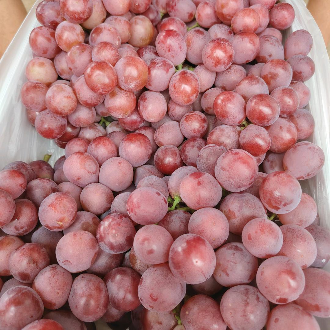 认识是缘分