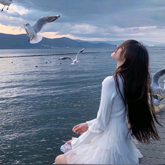 蓝莓果酱