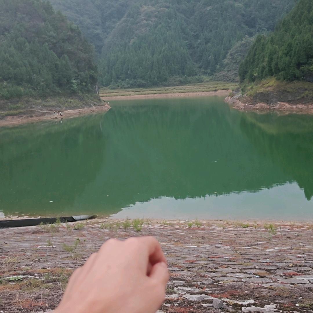 压不住的KK
